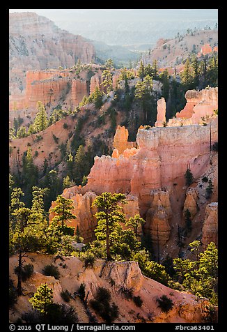 Trees, ridges, and hoodoos, Fairyland Point. Bryce Canyon National Park (color)