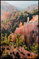 Trees, ridges, and hoodoos, Fairyland Point. Bryce Canyon National Park ( color)