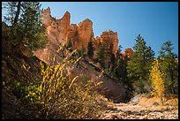 Dry creek with autumn foliage and hoodoos. Bryce Canyon National Park ( color)