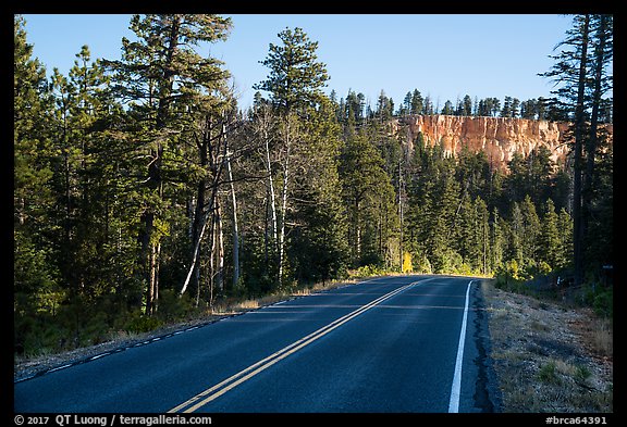 Park road. Bryce Canyon National Park, Utah, USA.