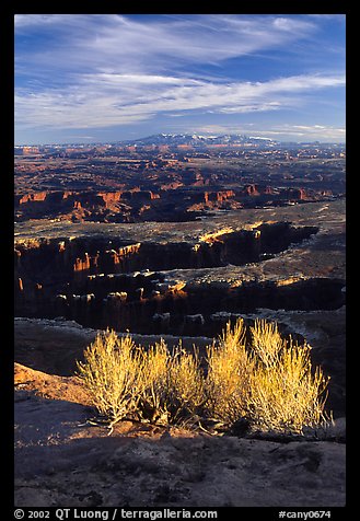 Monument Basin from Grand view point, Island in the sky. Canyonlands National Park (color)