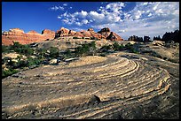 Circular sandstone striations near Elephant Hill, the Needles, late afternoon. Canyonlands National Park, Utah, USA.