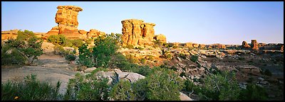 Rock spires, Needles District. Canyonlands National Park (Panoramic color)