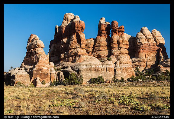Cactus on flats and spires of the Doll House. Canyonlands National Park, Utah, USA.