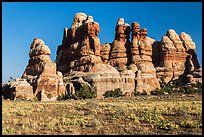Cactus on flats and spires of the Doll House. Canyonlands National Park, Utah, USA. (color)