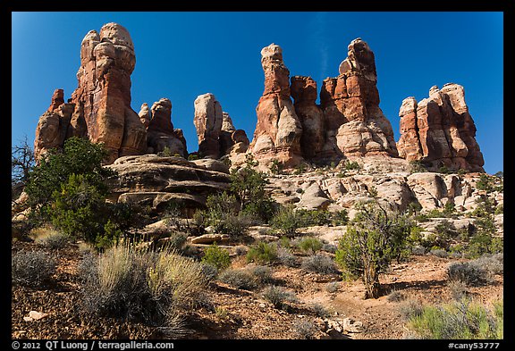 Whimsical spires, Doll House, Maze District. Canyonlands National Park (color)