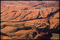 Aerial view of Maze canyons. Canyonlands National Park, Utah, USA. (color)