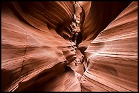 High Spur slot canyon, Orange Cliffs Unit, Glen Canyon National Recreation Area, Utah. USA ( color)