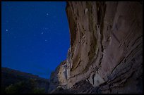 Great Gallery at night. Canyonlands National Park, Utah, USA.