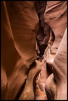 Curved walls, High Spur slot canyon, Orange Cliffs Unit, Glen Canyon National Recreation Area, Utah. USA ( color)