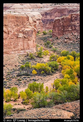 Horseshoe Canyon from the rim in autumn. Canyonlands National Park, Utah, USA.