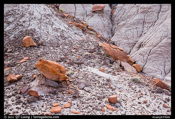 Rocks and clay badlands, Orange Cliffs Unit, Glen Canyon National Recreation Area, Utah. USA (color)