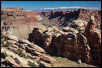 Surprise Valley, Colorado River, and snowy mountains. Canyonlands National Park, Utah, USA.