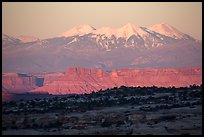 Distant Island in the Sky cliffs and La Sal mountains. Canyonlands National Park, Utah, USA. (color)