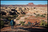 Group hiking down into the Maze. Canyonlands National Park, Utah, USA.