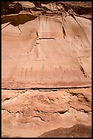 Looking up canyon wall with Harvest Scene pictographs. Canyonlands National Park, Utah, USA.