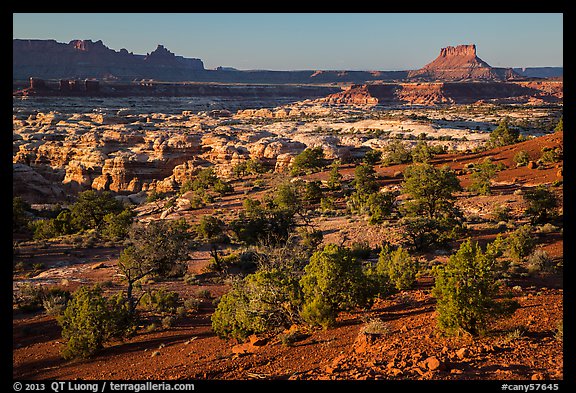 Maze seen from Chimney Rock, late afternoon. Canyonlands National Park, Utah, USA.