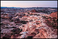 Jasper Canyon from Petes Mesa at dawn, Maze District. Canyonlands National Park, Utah, USA. (color)