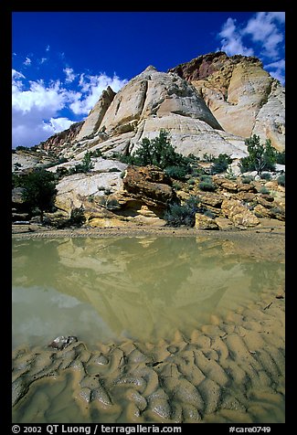 Pockets of water in Waterpocket Fold near Capitol Gorge. Capitol Reef National Park, Utah, USA.