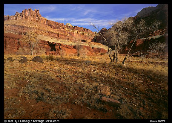 Castle Meadow and Castle, late autum morning. Capitol Reef National Park, Utah, USA.