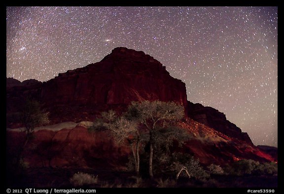 Trees and cliff by night. Capitol Reef National Park, Utah, USA.