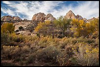 Srubs and trees in autum under white sandstone domes. Capitol Reef National Park, Utah, USA.