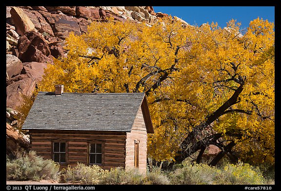 Fruita one-room schoolhouse in autumn. Capitol Reef National Park (color)