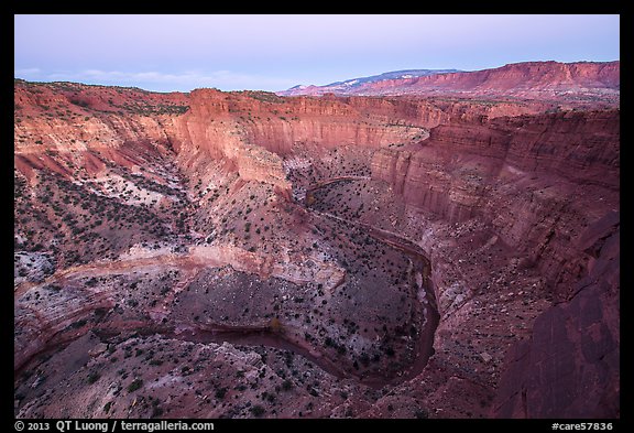 Goosenecks of Sulfur Creek and Waterpocket Fold at dawn. Capitol Reef National Park (color)