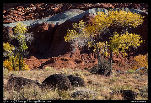 Basalt boulders, Cottonwoods in autumn, cliffs. Capitol Reef National Park, Utah, USA.