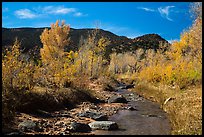 Pleasant Creek in autumn. Capitol Reef National Park, Utah, USA. (color)