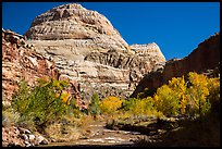 Capitol Dome in autumn. Capitol Reef National Park, Utah, USA.