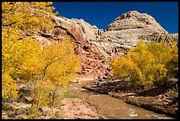 Fremont River and Capitol Dome in autumn. Capitol Reef National Park, Utah, USA. (color)