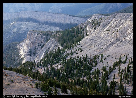 Limestone cliffs near Mt Washington. Great Basin National Park, Nevada, USA.