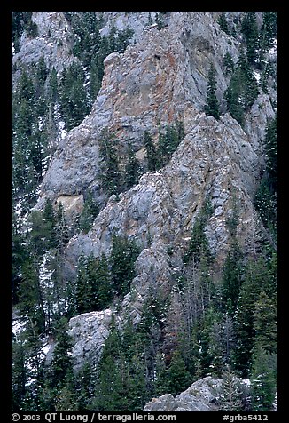 Limestone towers and pine trees near Lexington Arch. Great Basin National Park, Nevada, USA.