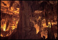 Tall columns in Lehman Cave. Great Basin National Park, Nevada, USA. (color)