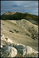 Wheeler Peak and Snake range seen from Mt Washington, morning. Great Basin National Park, Nevada, USA. (color)