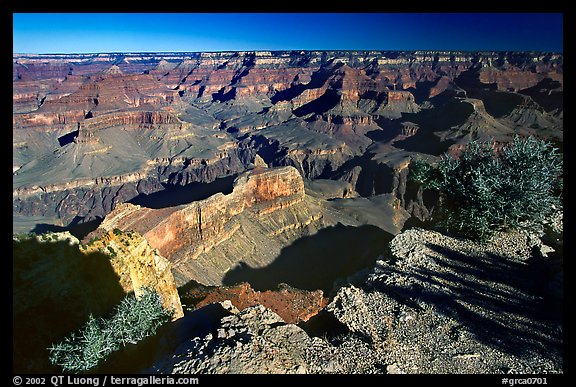View from Hopi point, morning. Grand Canyon National Park (color)