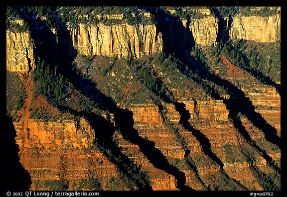 Canyon walls from Bright Angel Point, sunrise. Grand Canyon  National Park, Arizona, USA.