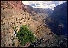 Thunder Spring Oasis at  mounth of Tapeats Creek secondary canyon. Grand Canyon National Park, Arizona, USA. (color)