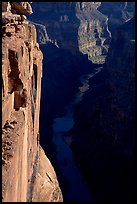 Colorado River and Cliffs at Toroweap, early morning. Grand Canyon National Park, Arizona, USA.