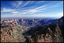 View from Vista Encantada, morning. Grand Canyon National Park, Arizona, USA. (color)