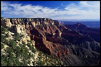 Rim near Cape Royal. Grand Canyon  National Park, Arizona, USA.