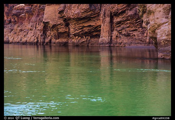 Redwall limestone reflected in green waters, Colorado River. Grand Canyon National Park, Arizona, USA.