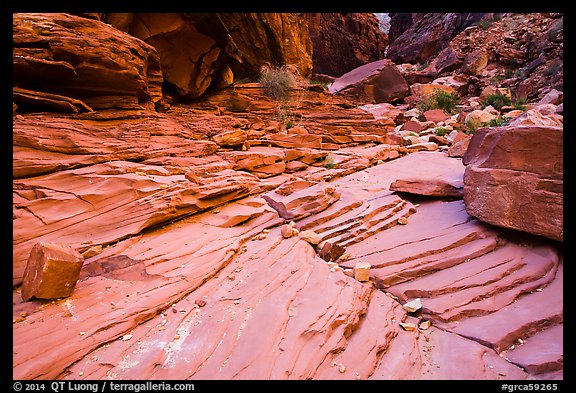 Sandstone terraces, North Canyon. Grand Canyon National Park (color)