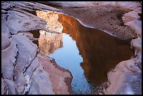 Cliffs reflected in pool, North Canyon. Grand Canyon National Park, Arizona, USA.