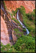 Vaseys Paradise, hanging garden with waterfalls springing out of canyon wall.. Grand Canyon National Park, Arizona, USA.
