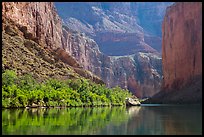 Colorado River and slope with vegetation in the spring, Marble Canyon. Grand Canyon National Park, Arizona, USA.