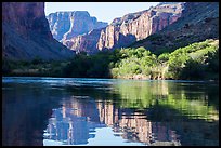 Cliffs and vegetation reflected in Colorado River, morning. Grand Canyon National Park ( color)