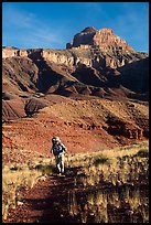 Backpacker, Escalante Route trail. Grand Canyon National Park, Arizona, USA.