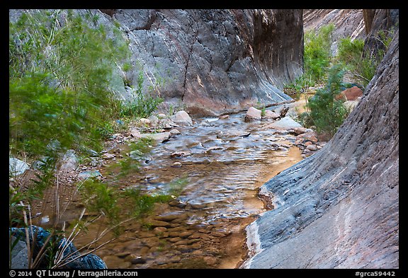 Gorge and riparian environment, Clear Creek. Grand Canyon National Park (color)